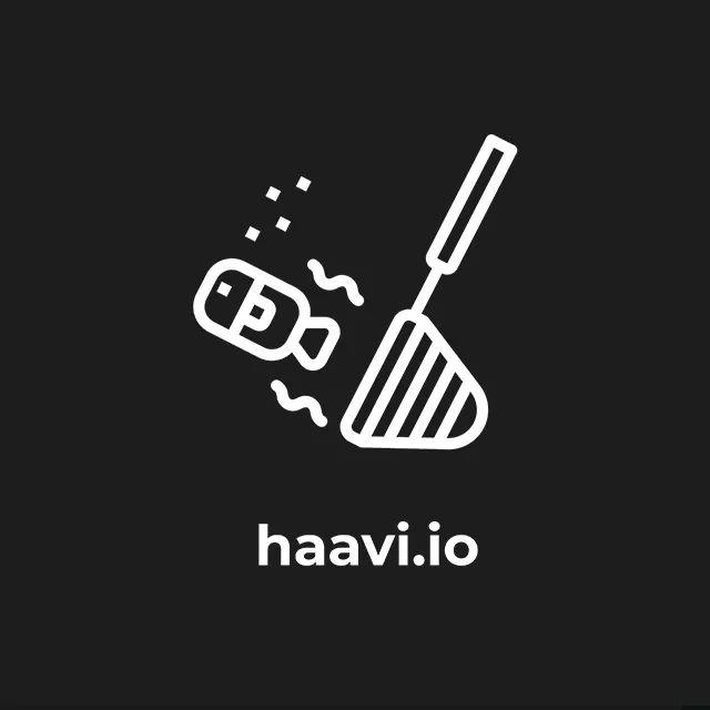 Yritys: Haavi Global Oy